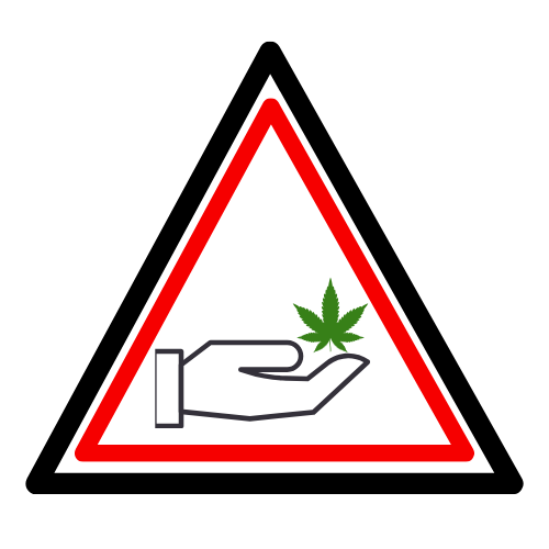 Hand holding marijuana leaf 